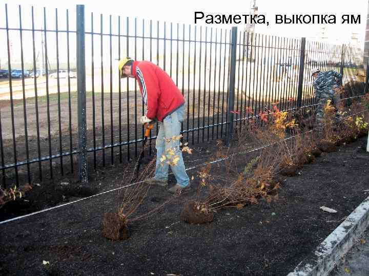 Разметка, выкопка ям 