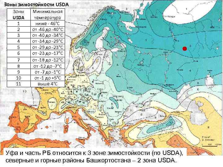 Зоны зимостойкости USDA Зоны USDA 1 2 3 4 5 6 7 8 9