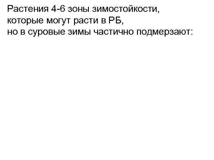 Растения 4 -6 зоны зимостойкости, которые могут расти в РБ, но в суровые зимы