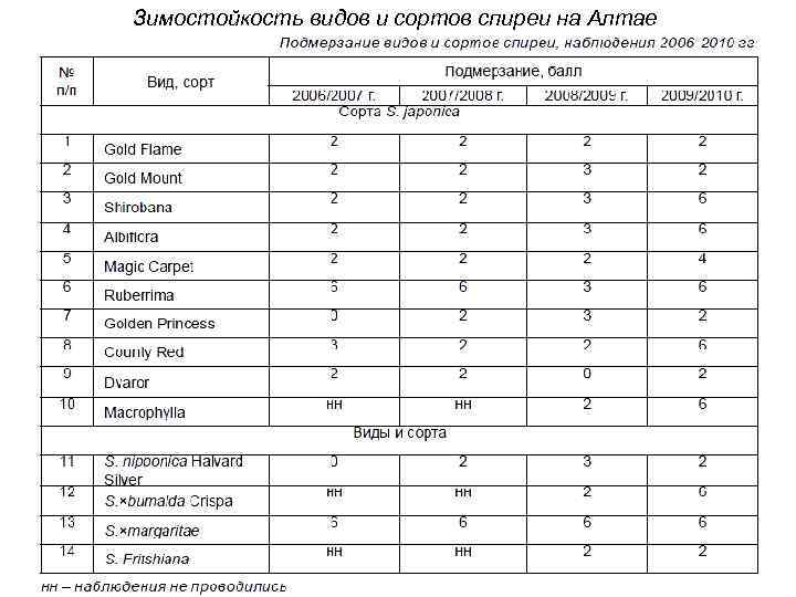 Зимостойкость видов и сортов спиреи на Алтае 