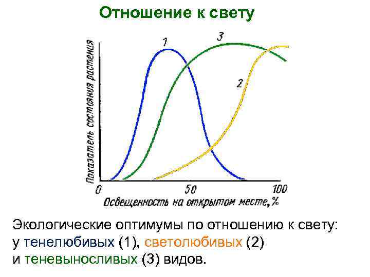 Отношение к свету