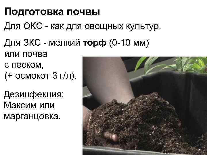 Подготовка почвы Для ОКС - как для овощных культур. Для ЗКС - мелкий торф