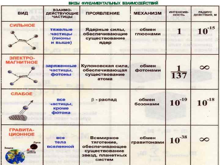 ВИДЫ ФУНДАМЕНТАЛЬНЫХ ВЗАИМОДЕЙСТВИЙ 