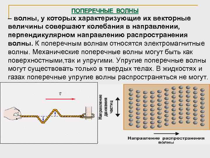 ПОПЕРЕЧНЫЕ ВОЛНЫ – волны, у которых характеризующие их векторные величины совершают колебания в направлении,