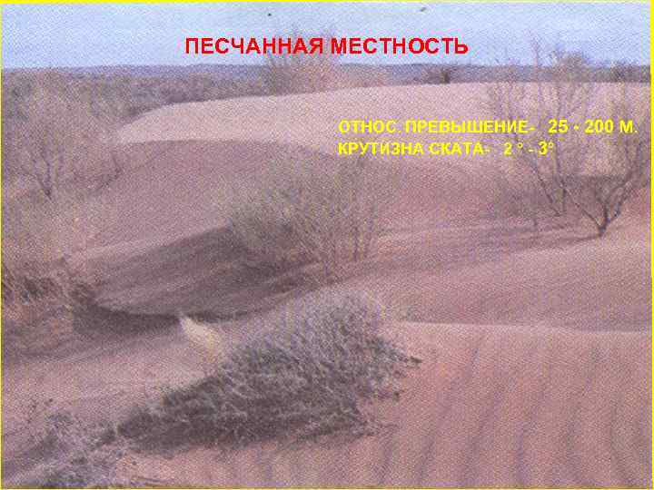 ПЕСЧАННАЯ МЕСТНОСТЬ ОТНОС. ПРЕВЫШЕНИЕ- 25 - 200 М. КРУТИЗНА СКАТА- 2 ° - 3°