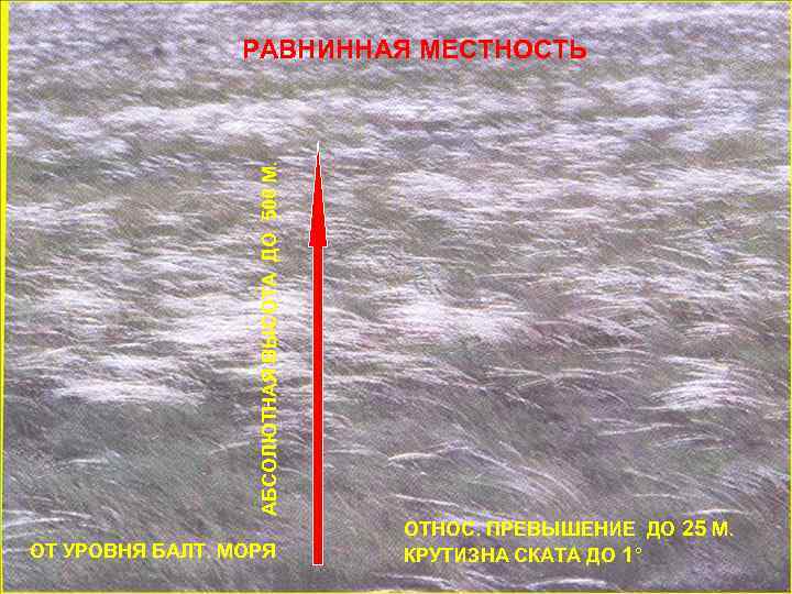АБСОЛЮТНАЯ ВЫСОТА ДО 500 М. РАВНИННАЯ МЕСТНОСТЬ ОТ УРОВНЯ БАЛТ. МОРЯ ОТНОС. ПРЕВЫШЕНИЕ ДО
