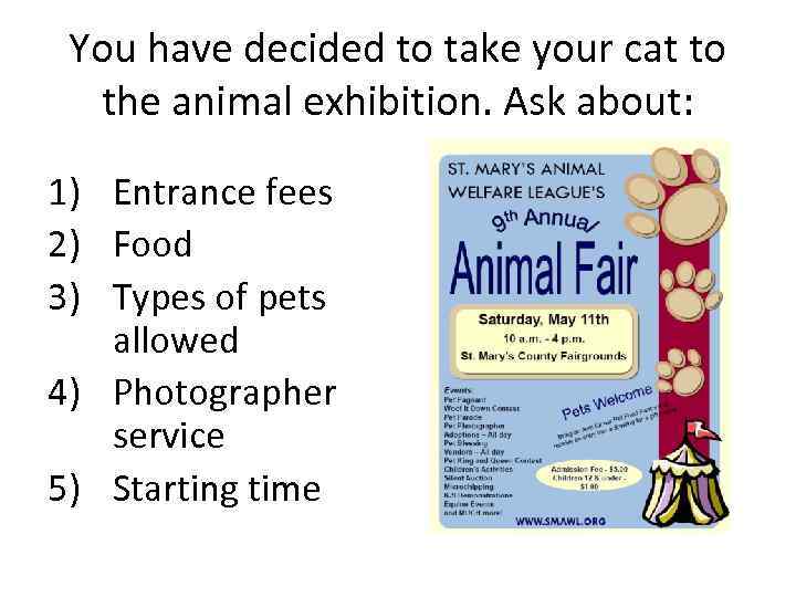 You have decided to take your cat to the animal exhibition. Ask about: 1)