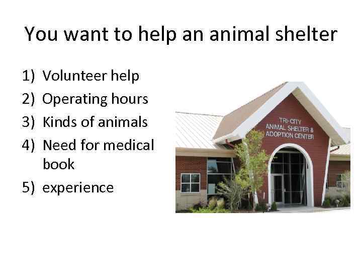 You want to help an animal shelter 1) 2) 3) 4) Volunteer help Operating