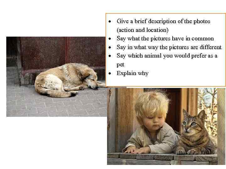  Give a brief description of the photos (action and location) Say what the