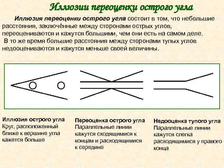 Иллюзия переоценки острого угла в одежде