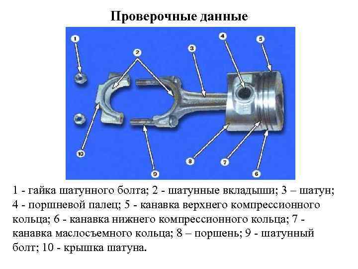 Проверочные данные 1 - гайка шатунного болта; 2 - шатунные вкладыши; 3 – шатун;