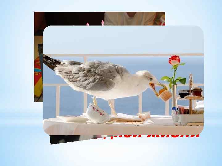 *Пожелания сладкой жизни 