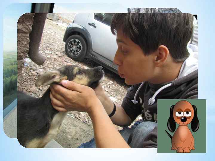 *С любимыми питомцами 