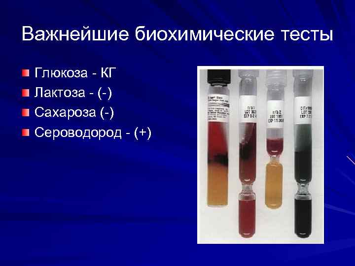 Среда сероводорода. Среда Гиса микробиология. Биохимические тесты. Биохимические тесты на сальмонеллу. Пестрый ряд Гиса сальмонеллы.