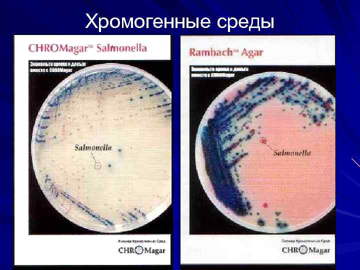 Хромогенные среды 