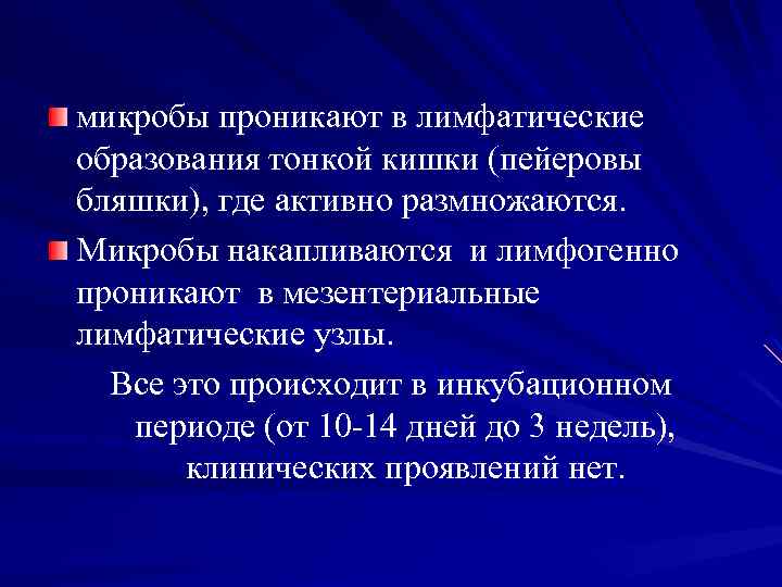 микробы проникают в лимфатические образования тонкой кишки (пейеровы бляшки), где активно размножаются. Микробы накапливаются