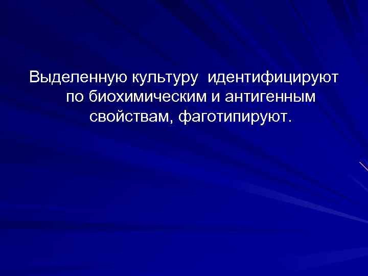 Выделенную культуру идентифицируют по биохимическим и антигенным свойствам, фаготипируют. 