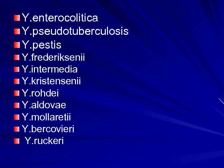 Y. enterocolitica Y. pseudotuberculosis Y. pestis Y. frederiksenii Y. intermedia Y. kristensenii Y. rohdei