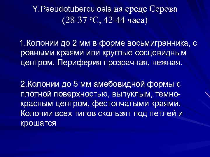 Y. Pseudotuberculosis на среде Серова (28 -37 о. С, 42 -44 часа) 1. Колонии