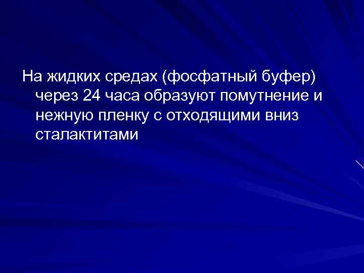 На жидких средах (фосфатный буфер) через 24 часа образуют помутнение и нежную пленку с