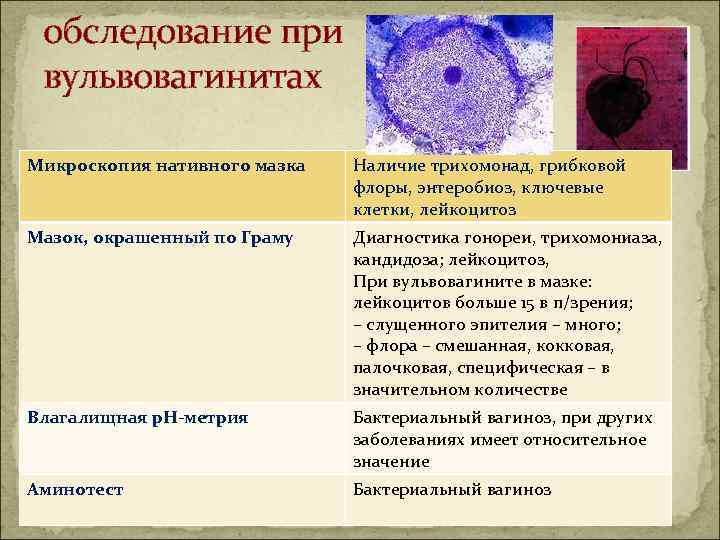 обследование при вульвовагинитах Микроскопия нативного мазка Наличие трихомонад, грибковой флоры, энтеробиоз, ключевые клетки, лейкоцитоз