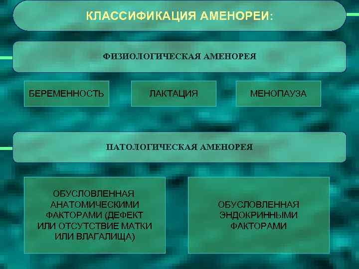 КЛАССИФИКАЦИЯ АМЕНОРЕИ: ФИЗИОЛОГИЧЕСКАЯ АМЕНОРЕЯ БЕРЕМЕННОСТЬ ЛАКТАЦИЯ МЕНОПАУЗА ПАТОЛОГИЧЕСКАЯ АМЕНОРЕЯ ОБУСЛОВЛЕННАЯ АНАТОМИЧЕСКИМИ ФАКТОРАМИ (ДЕФЕКТ ИЛИ