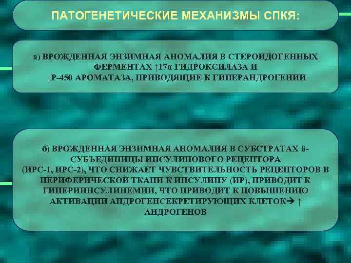 ПАТОГЕНЕТИЧЕСКИЕ МЕХАНИЗМЫ СПКЯ: а) ВРОЖДЕННАЯ ЭНЗИМНАЯ АНОМАЛИЯ В СТЕРОИДОГЕННЫХ ФЕРМЕНТАХ ↑ 17α ГИДРОКСИЛАЗА И