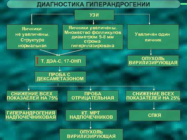 ДИАГНОСТИКА ГИПЕРАНДРОГЕНИИ УЗИ Яичники не увеличены. Структура нормальная Яичники увеличены. Множество фолликулов диаметром 5