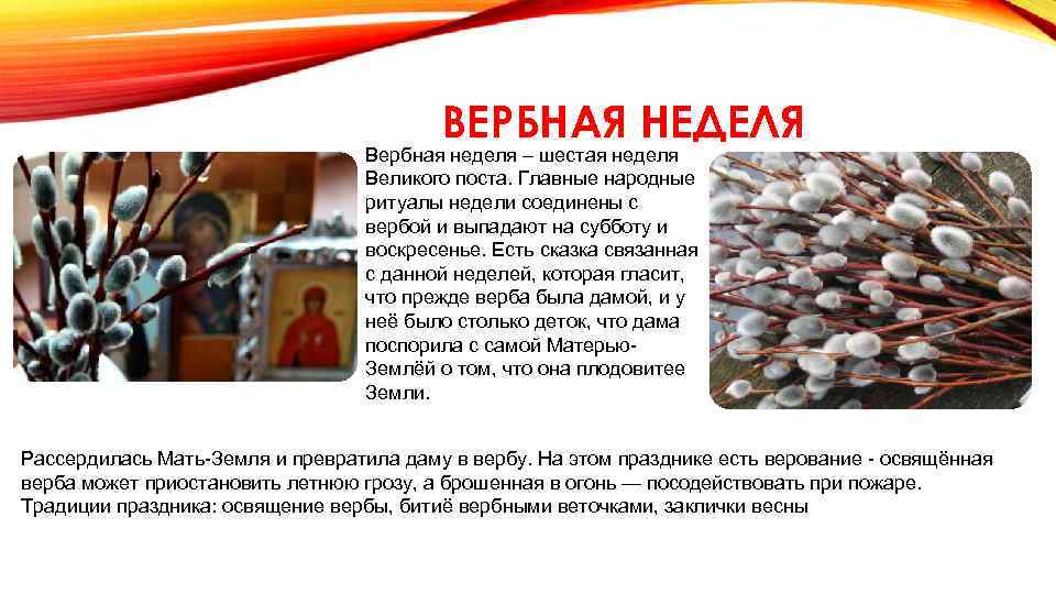 ВЕРБНАЯ НЕДЕЛЯ Вербная неделя – шестая неделя Великого поста. Главные народные ритуалы недели соединены