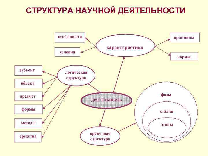 СТРУКТУРА НАУЧНОЙ ДЕЯТЕЛЬНОСТИ 