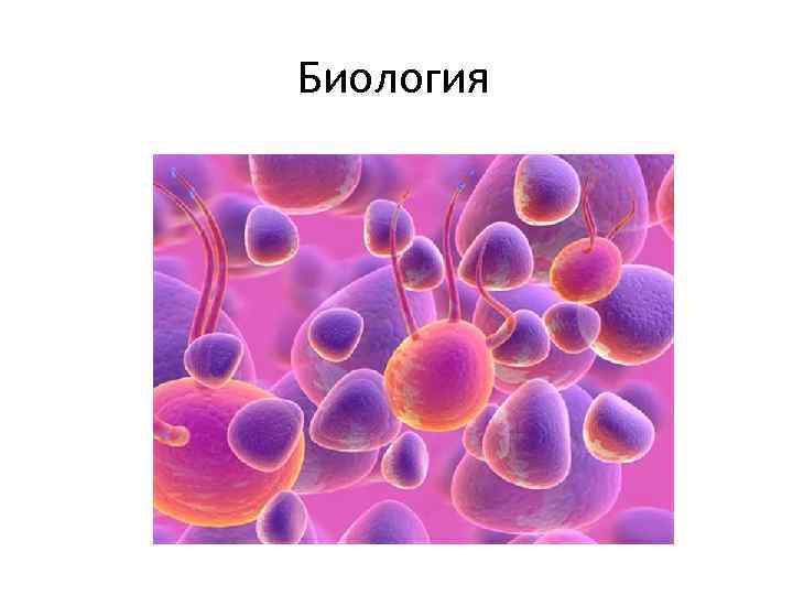 Биология 