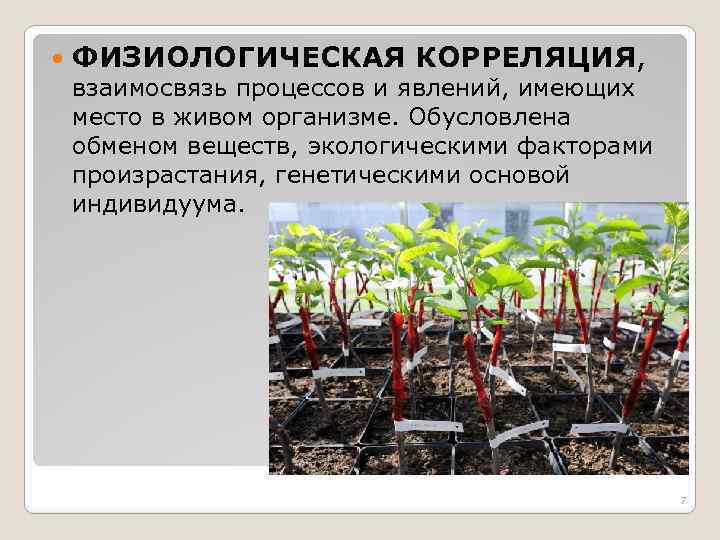  ФИЗИОЛОГИЧЕСКАЯ КОРРЕЛЯЦИЯ, взаимосвязь процессов и явлений, имеющих место в живом организме. Обусловлена обменом