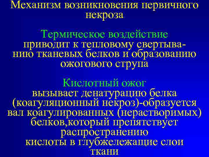 Механизм возникновения первичного некроза Термическое воздействие приводит к тепловому свертыванию тканевых белков и образованию