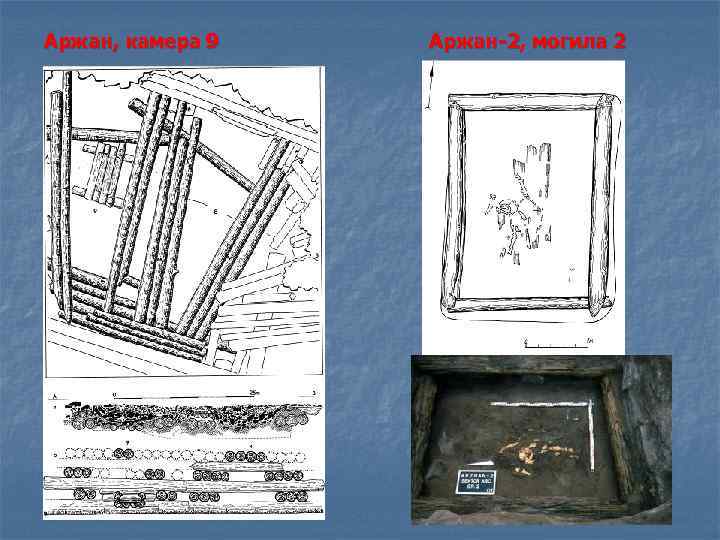 Аржан, камера 9 Аржан-2, могила 2 