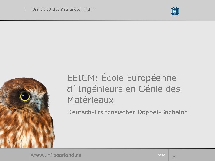 > Universität des Saarlandes - MINT EEIGM: École Européenne d`Ingénieurs en Génie des Matérieaux