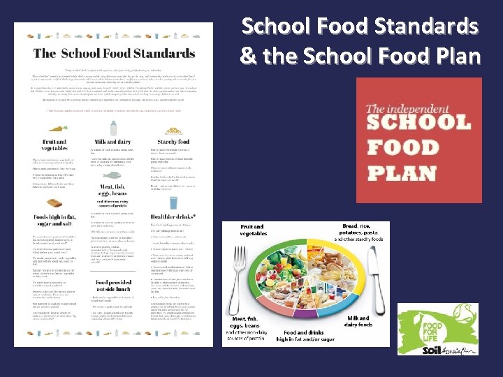 School Food Standards & the School Food Plan 