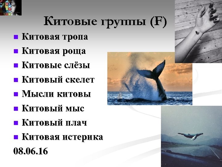 Китовые группы (F) Китовая тропа Китовая роща Китовые слёзы Китовый скелет Мысли китовы Китовый