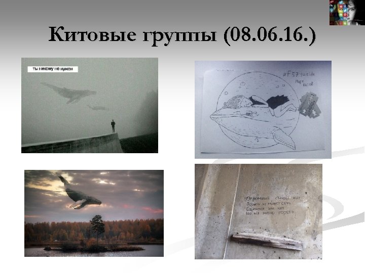 Китовые группы (08. 06. 16. ) 