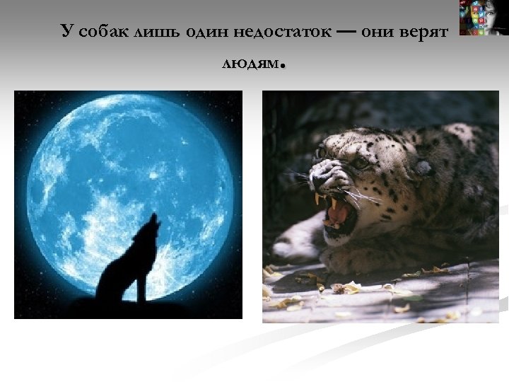 У собак лишь один недостаток — они верят людям. 