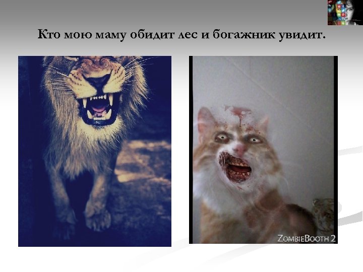 Кто мою маму обидит лес и богажник увидит. 