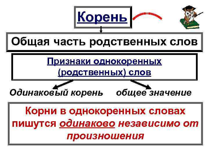 Одинаковый корень. Корень это общая часть родственных слов. Корень это общая часть. Корни в однокоренных словах пишутся одинаково. Общая часть однокоренных слов.