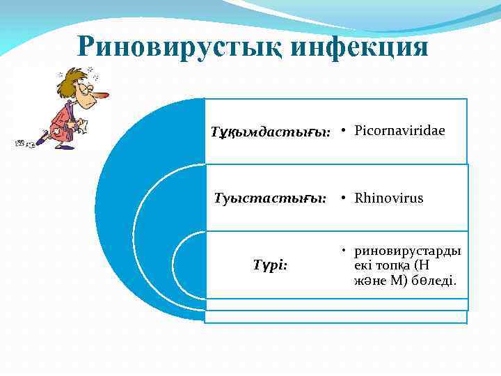 Риновирустық инфекция Тұқымдастығы: • Picornaviridaе Туыстастығы: • Rhinovirus Түрі: • риновирустарды екі топқа (Н