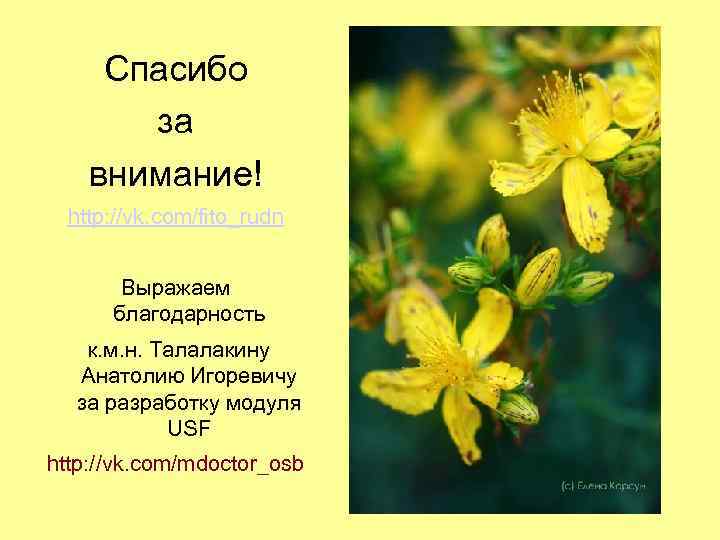 Спасибо за внимание! http: //vk. com/fito_rudn Выражаем благодарность к. м. н. Талалакину Анатолию Игоревичу