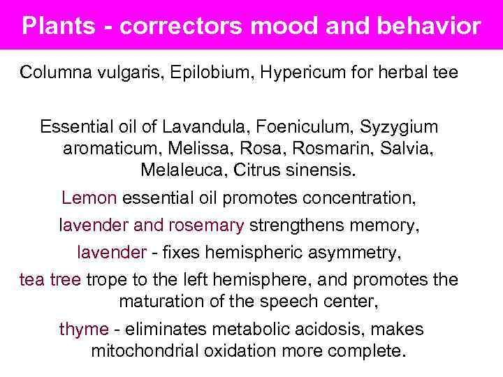 Plants - correctors mood and behavior Columna vulgaris, Epilobium, Hypericum for herbal tee Essential