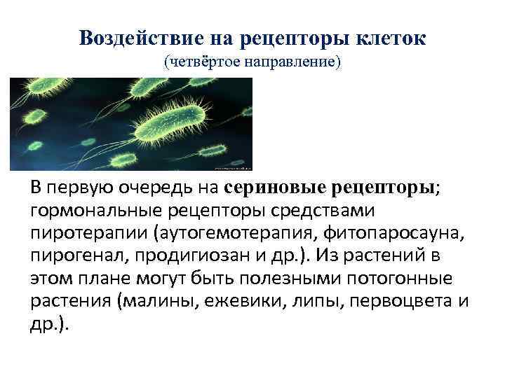 Воздействие на рецепторы клеток (четвёртое направление) В первую очередь на сериновые рецепторы; гормональные рецепторы