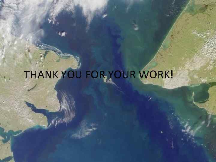 THANK YOU FOR YOUR WORK! 