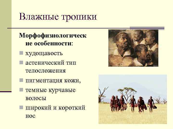 Влажные тропики Морфофизиологическ ие особенности: n худощавость n астенический тип телосложения n пигментация кожи,