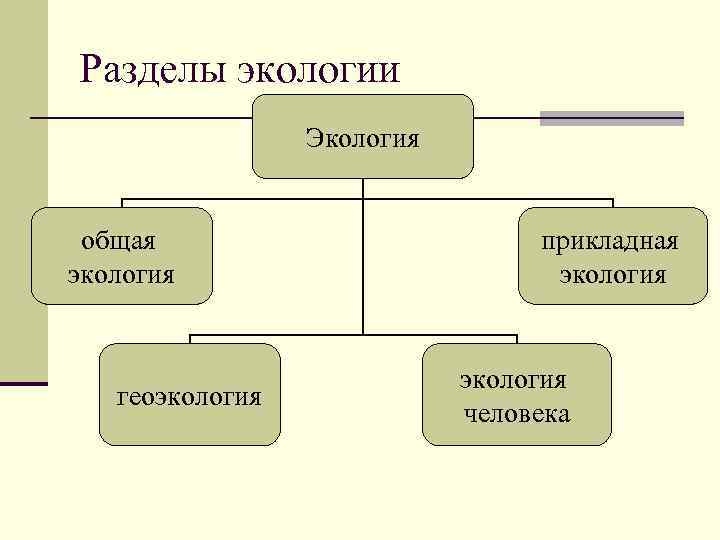 Разделы экологии социальная экология. Разделы экологии. Основные разделы экологии. Основные разделы общей экологии. Экология разделы экологии.