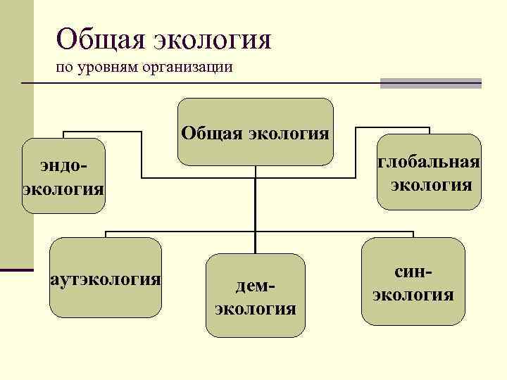 Общая экология. Биологичнские аспект жоклолгии человека. Что изучает общая экология. Биологические аспекты экологии человека.