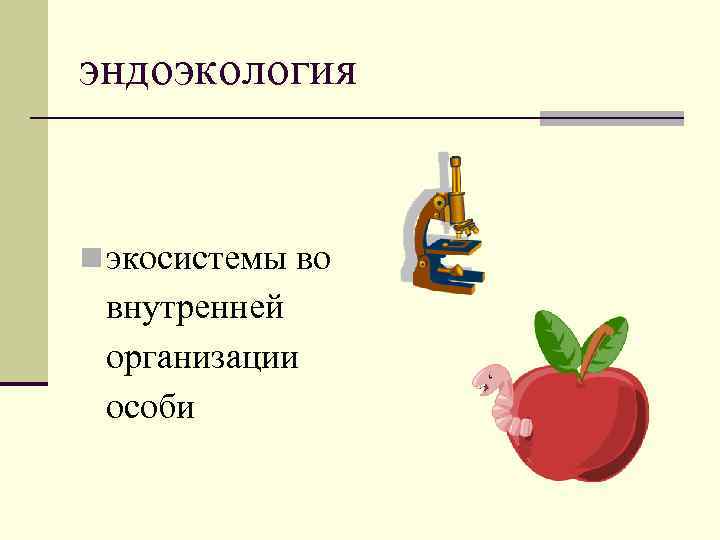 эндоэкология n экосистемы во внутренней организации особи 